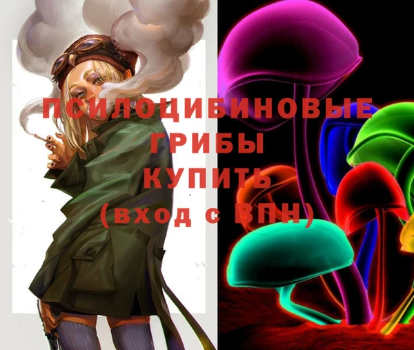 прущие грибы Горнозаводск
